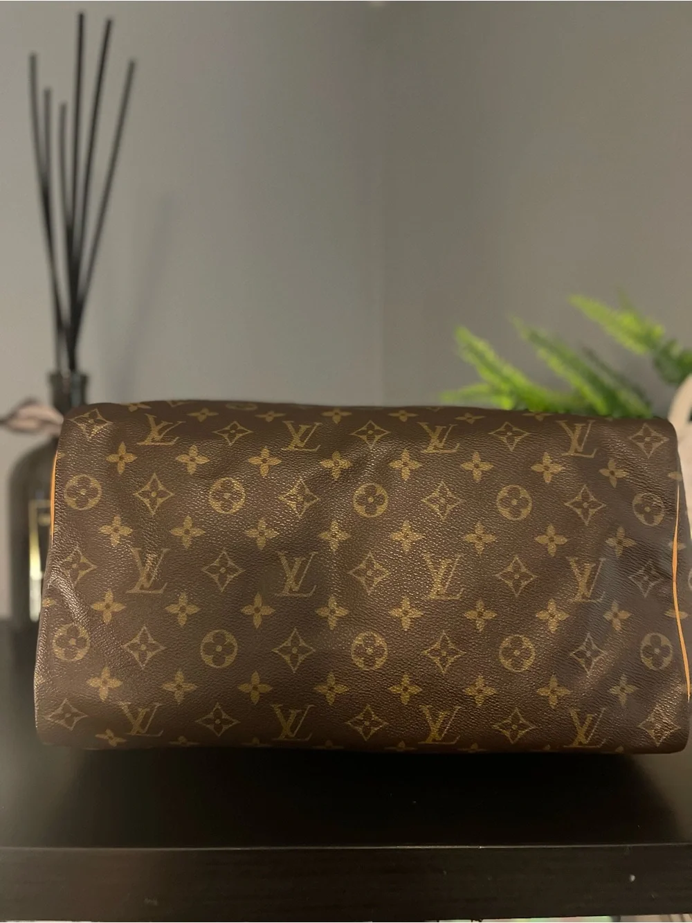 Louis Vuitton iconic louis